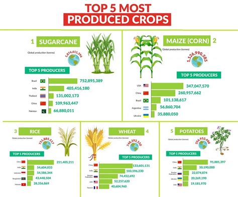 What crops does Canada get from India